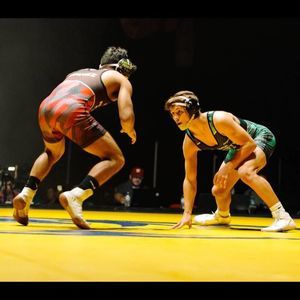 Meet your Posher, Dawson